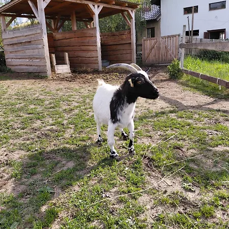 Na Farme Apartment Lomec